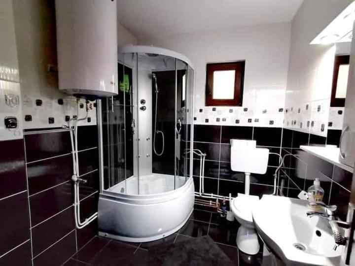 Lodge Casa Ianis Arieseni