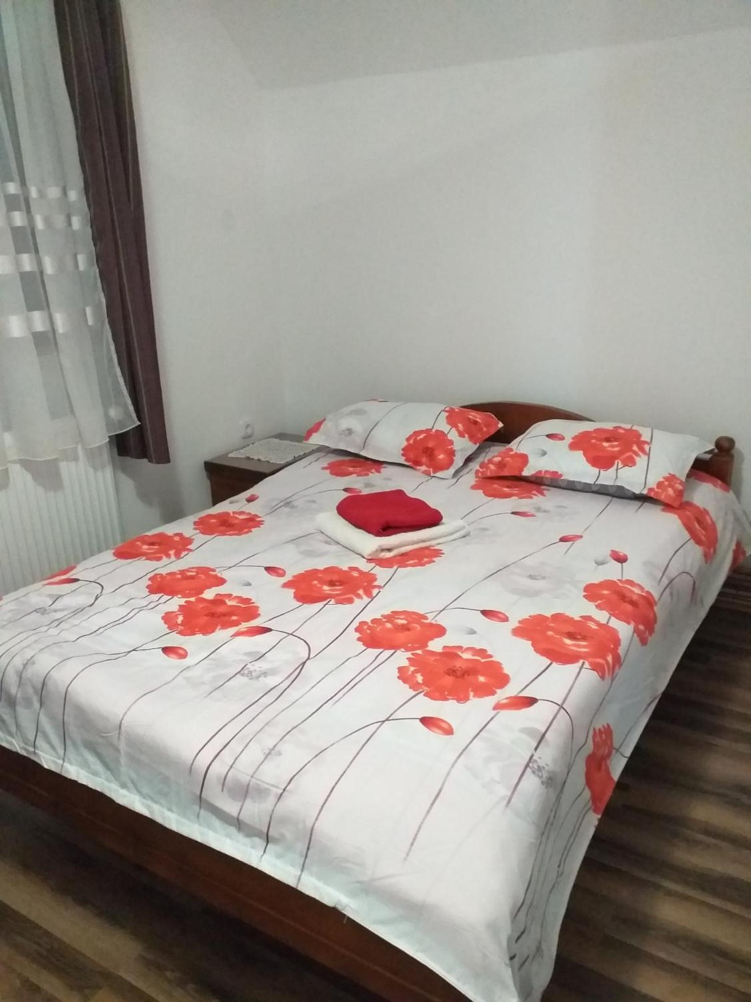 Casa Ianis Arieseni