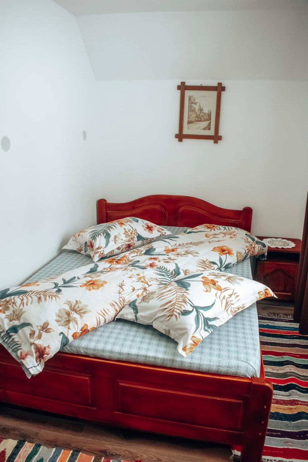 Casa Ianis Arieseni